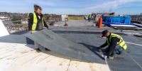 DensDeck® Roof Board - International (English)